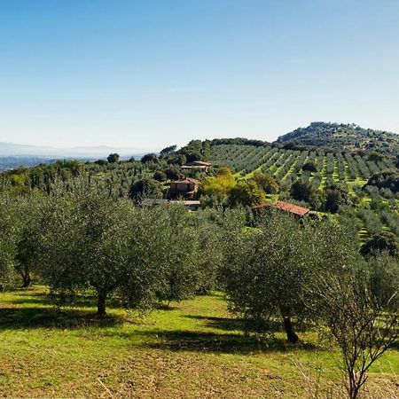 The Country House Montali Tavernelle  Exterior foto